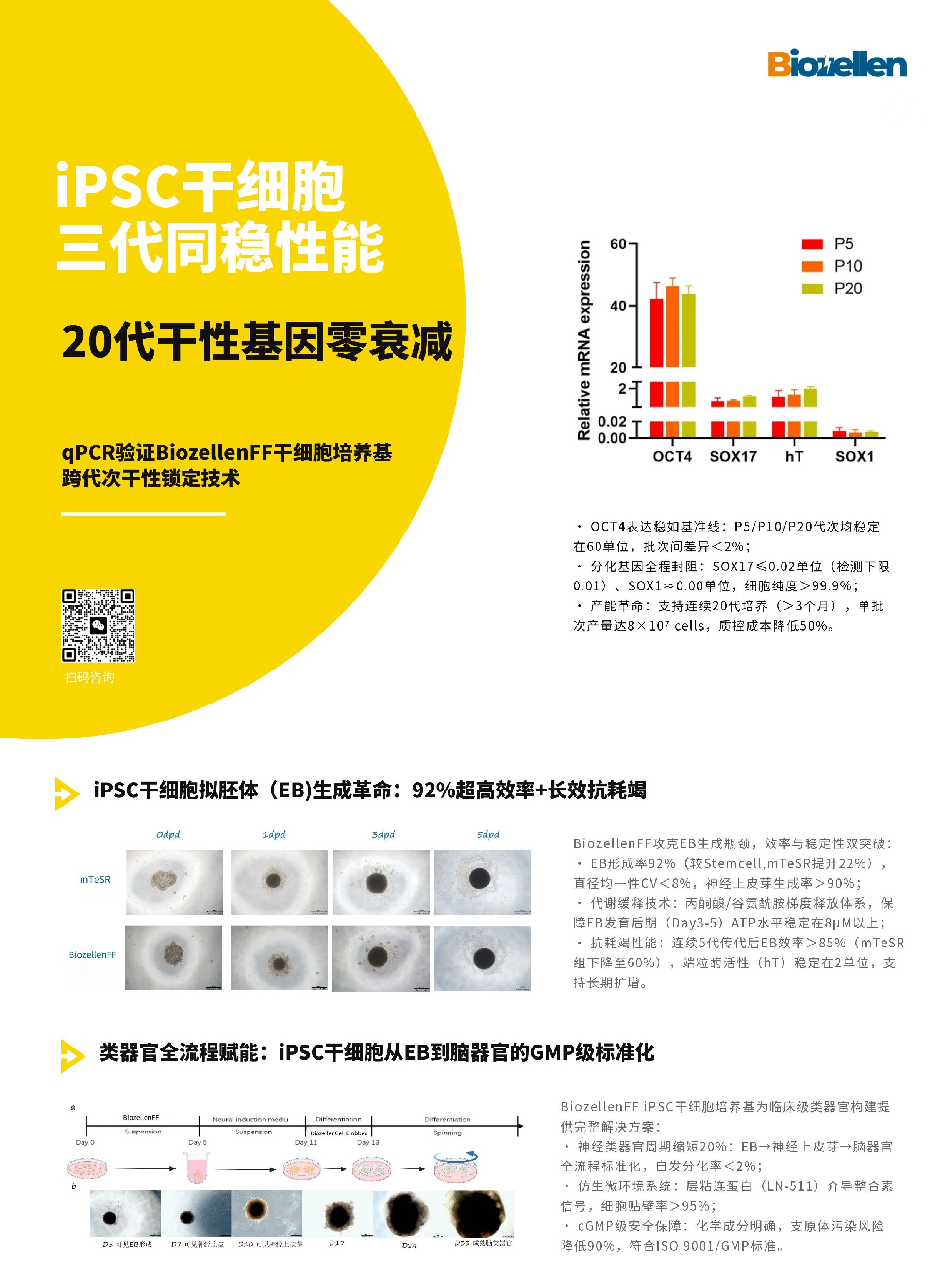 BiozellenFF iPS干细胞培养排版正面2-2.jpg